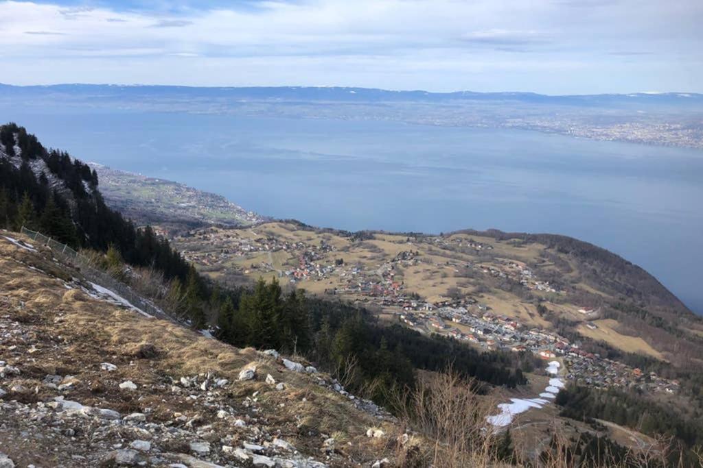 Studio Agreable Et Cosy Avec Vue Sur Les Memises Thollon-les-Memises Εξωτερικό φωτογραφία